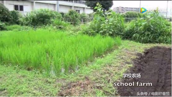 营养餐评价表怎么写_食谱营养评价报告_营养餐餐厅评价