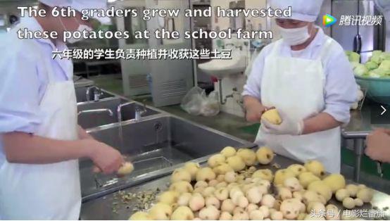食谱营养评价报告_营养餐餐厅评价_营养餐评价表怎么写
