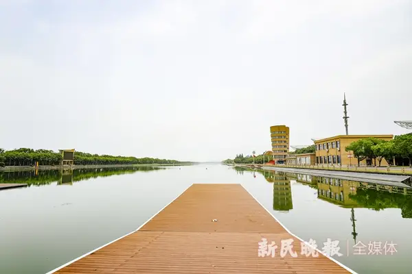 上海游泳奥运选手_上海游泳奥运冠军女子_上海游泳奥运冠军训练基地