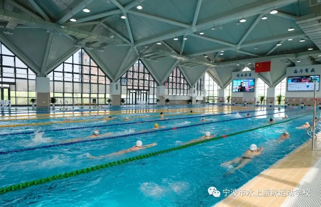 奥运会游泳冠军上海人_上海游泳奥运冠军训练基地_上海游泳奥运选手