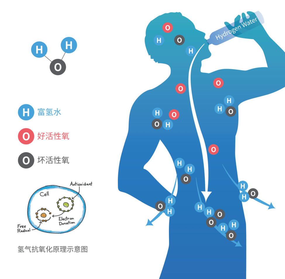 糖耐量受损亚健康_耐糖量损伤_耐糖量损伤是糖尿病吗