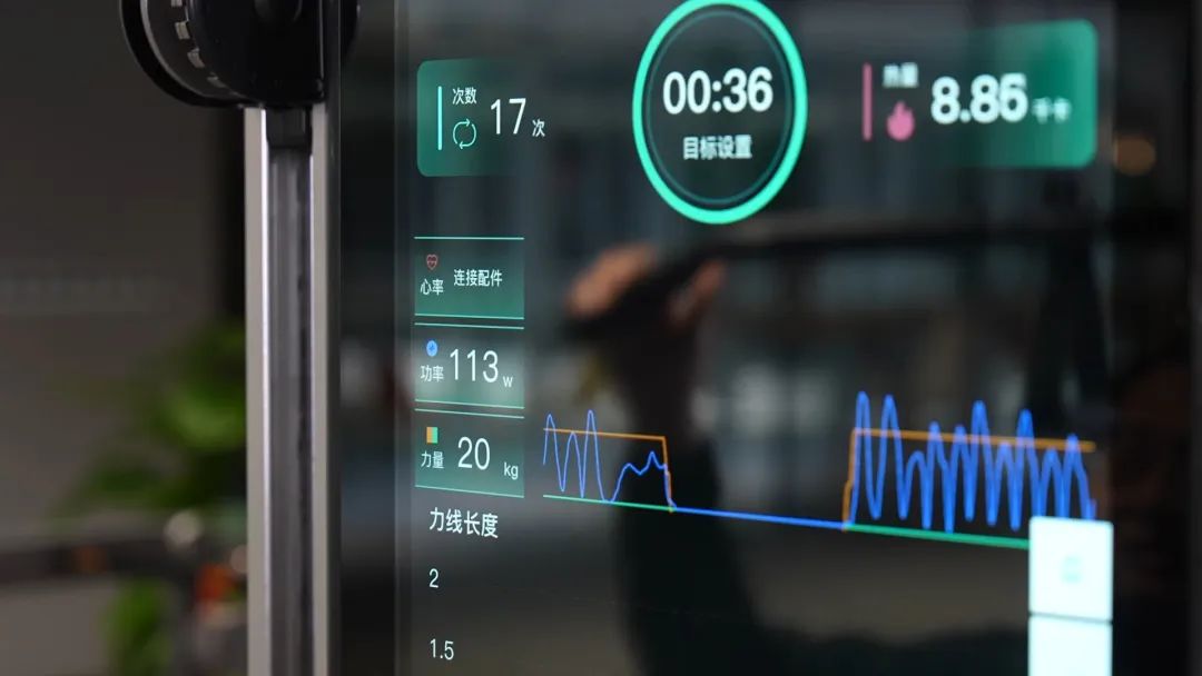 健身房练背部私教_背部训练健身_健身房背部训练视频