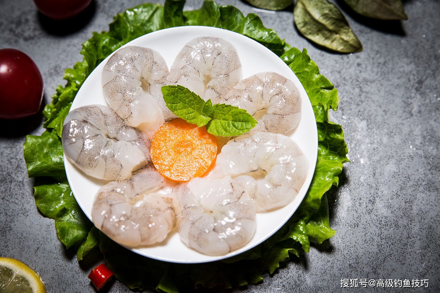 海上生活的资料_海上生活注意事项_海上生活常识